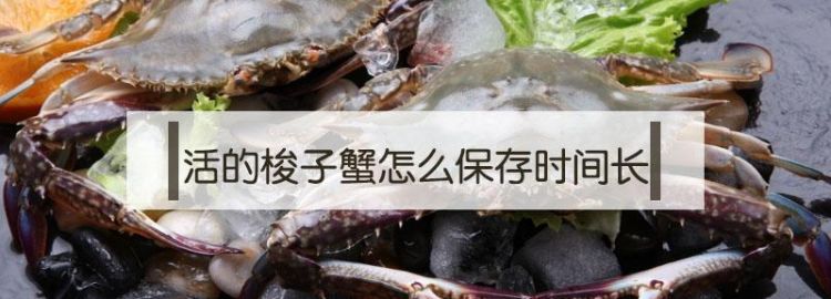 梭子蟹怎么保存时间能放久一点