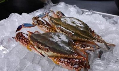 ​梭子蟹保存方法,梭子蟹