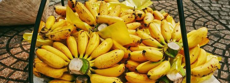 生芭蕉怎么催熟