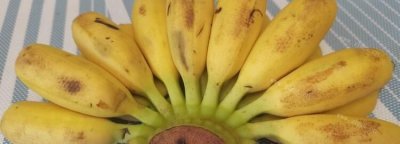 ​芭蕉怎么催熟，生芭蕉