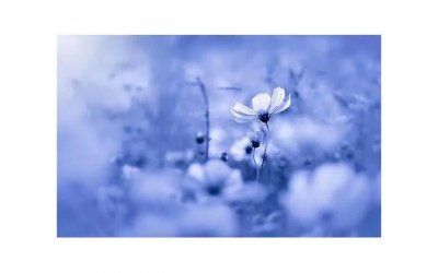 ​女性不同痛经的区分是