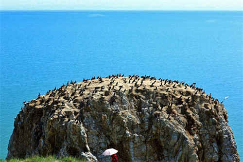 青海湖为什么是咸水湖(青海湖是活水还是死水)