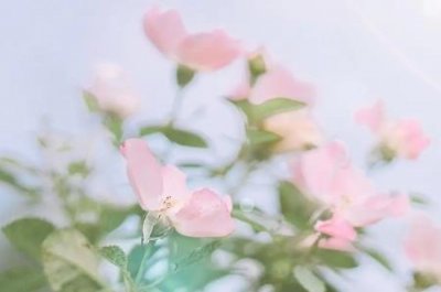 ​烧水壶长时间不用怎么