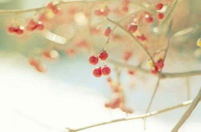 ​经典形容失望的句子6