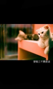 ​qq空间伤感说说（qq女生空间说说）