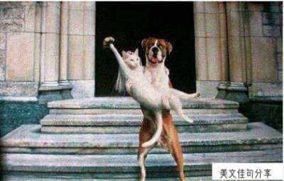 ​叫人出来聊天搞笑句子（51句活跃出来聊天气氛的幽默语句）