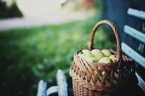 经典格言大全82句