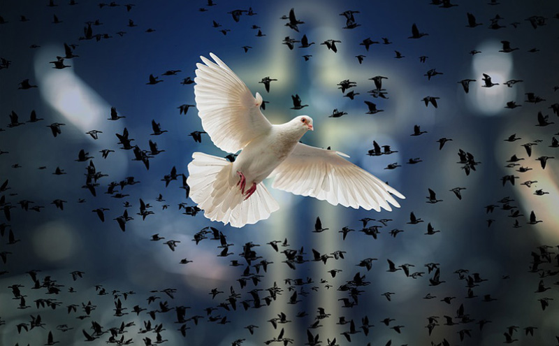 国内女装有哪些牌子比较实惠一下（中高端女装品牌前十名）