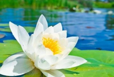 ​佛山一环禁货车怎么办