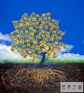 ​世界上十大神奇的树，