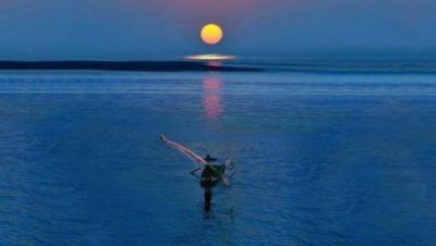 ​黑色的性行为 黑色的人