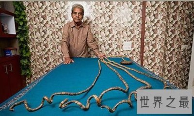 ​世界上最长的指甲，比