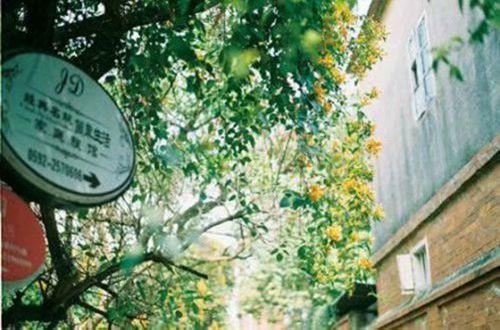 爱情现实经典语录