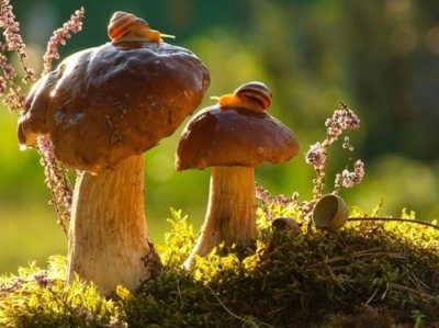 ​姐姐送弟结婚感人的话