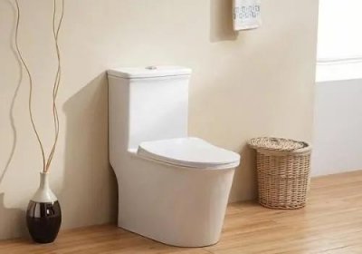 ​生活小技巧：马桶堵住