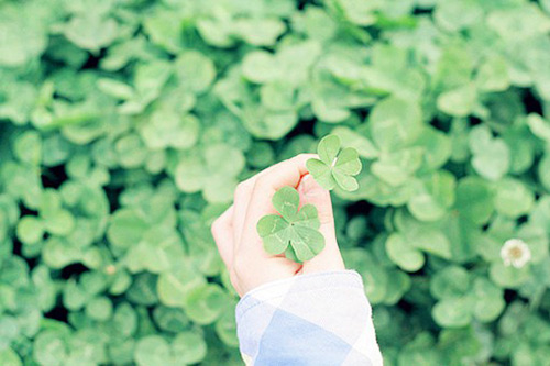 求别人帮忙点赞的句子 朋友圈求赞怎么说(51句)