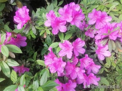 ​今天应该如何看待儒家