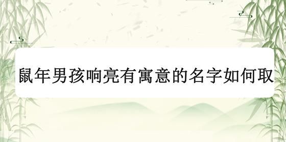 长相测试的姓名测试报告
