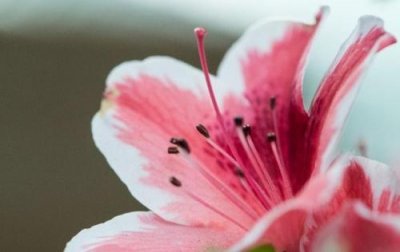 ​晚上拍夜景配一句话 为