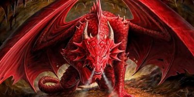 ​西方龙的五大品种，第