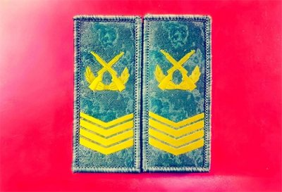 ​一级军士长，每月工资