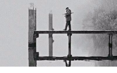 野天鹅好词好句感想