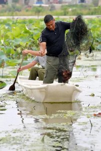 ​# 2025 年养殖行业的“财