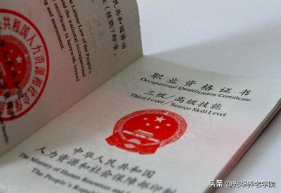 ​1.1.1 1+X证书制度与失智