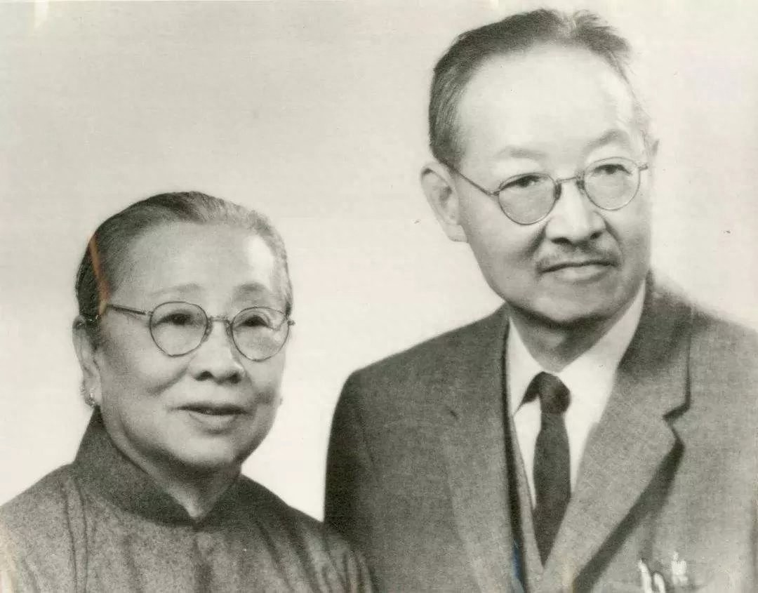 民国女汉子杨步伟，遇到有趣的灵魂，从三少爷变成赵太太