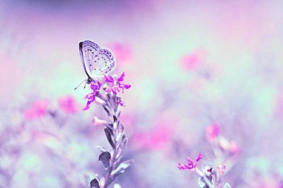 ​摘抄含有人生哲理的句