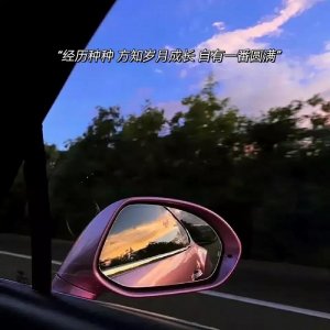 ​单身的自由宣言（40句单