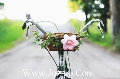 ​生命的优美比喻句关于