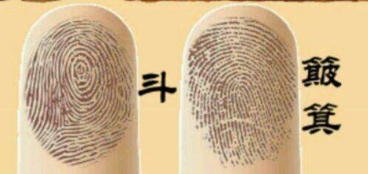 十个斗的男人是怎么样的呢(揭秘指纹密码)