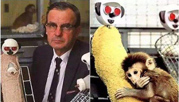 最可怕的人体实验手术（731部队活人实验也被称之为恶魔部队）(6)_