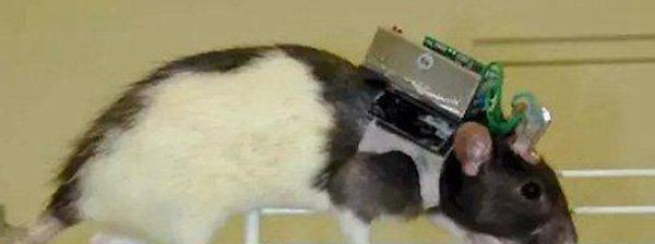 最可怕的人体实验手术（731部队活人实验也被称之为恶魔部队）(8)_