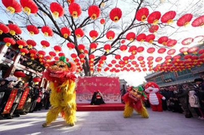 ​体验科技定制乐趣 厂甸