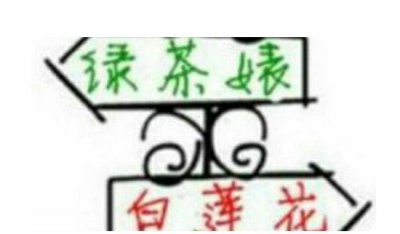 ​白莲花是什么道理，相