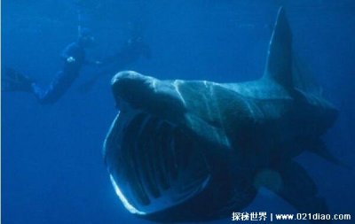 ​世界上最吓人最恶心的