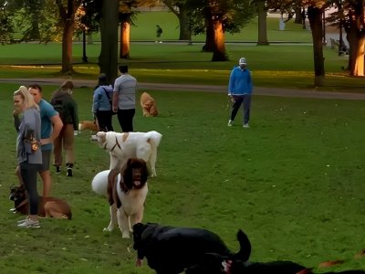 ​温暖感动的唯美治愈系