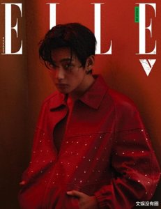 ​防弹少年团金泰亨登《