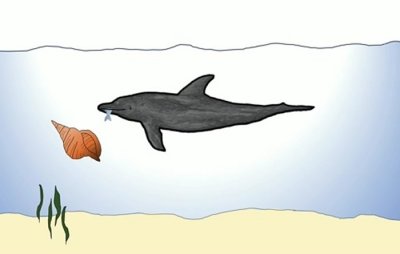 ​《当代生物学》：海豚