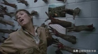 ​骨灰级恐怖片影迷，心