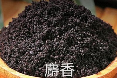 ​麝香是动物身上的哪个部位?囊腺分泌物(来自成熟雄鹿)