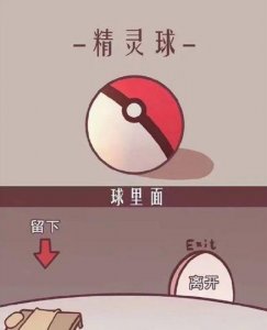 ​精灵球内部构造公开，高级球自带游戏厅，最后一个过于真实