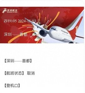 ​深圳航空的一架飞机由