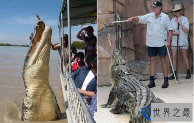 ​世界上十大最危险的工