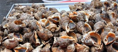 ​早市上赚钱最多的几个