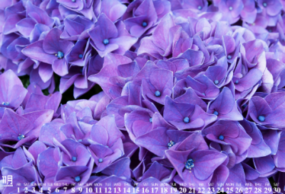 ​2026快手伤感句子短句