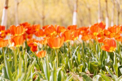 ​五一出游Vlog！记者带你