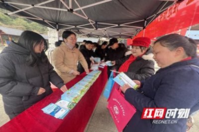 ​嘉禾县残联：精准服务